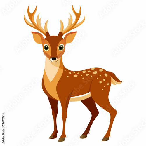 deer vector illustration