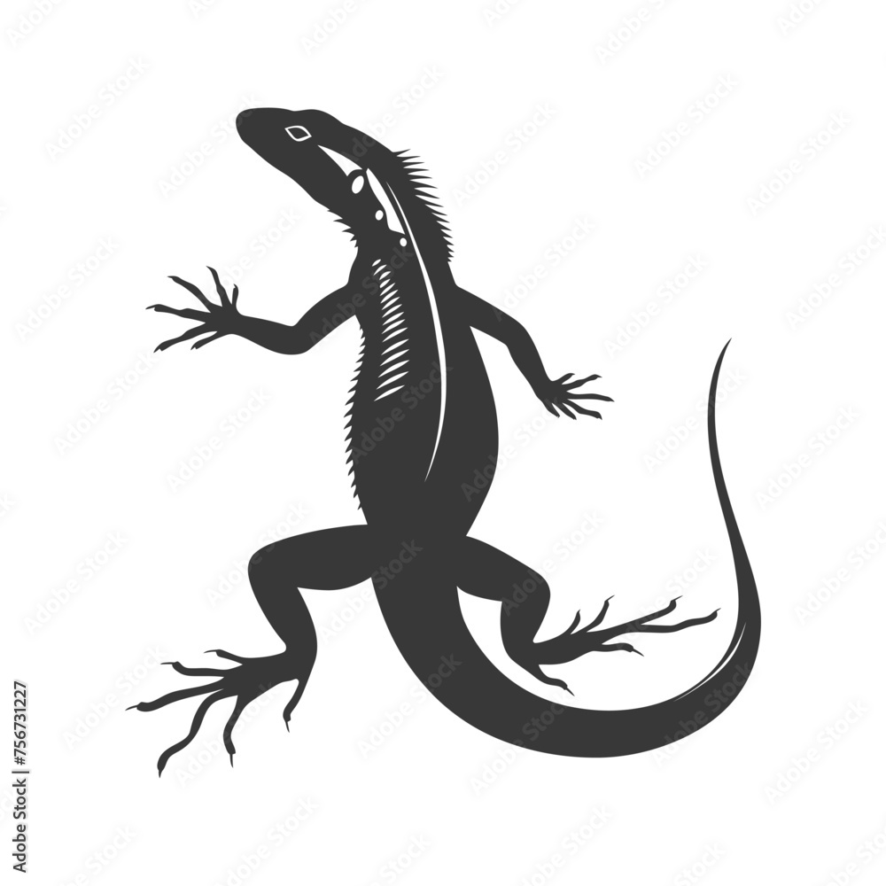 Fototapeta premium Silhouette lizard animal black color only full body