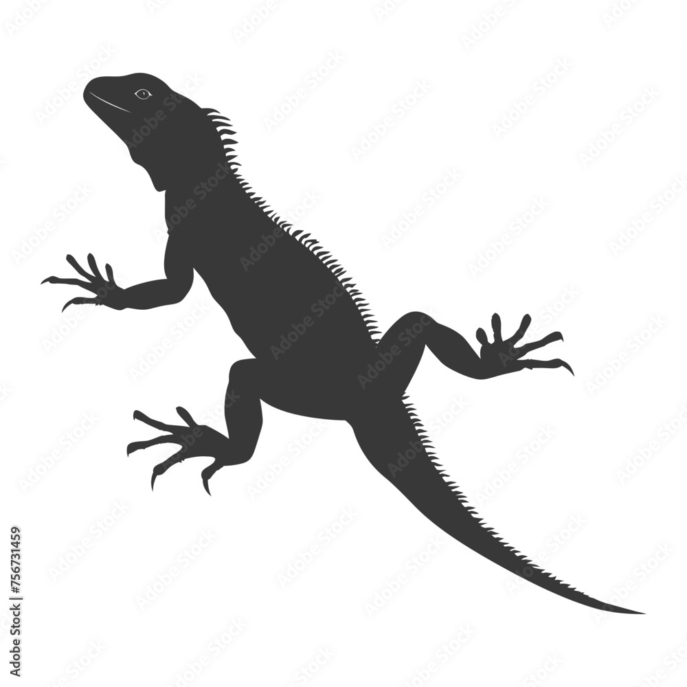 Naklejka premium Silhouette lizard animal black color only full body