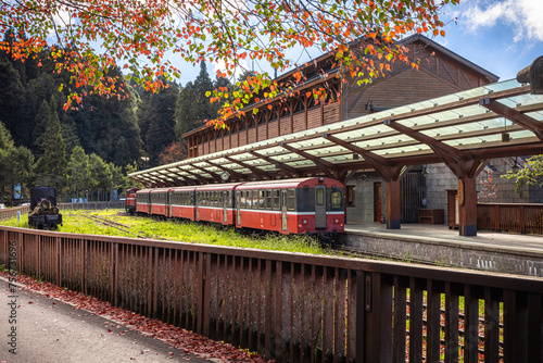 Colorful Japanese autumn vibe of a train station in the Alishan forest park, central southern Taiwan. 