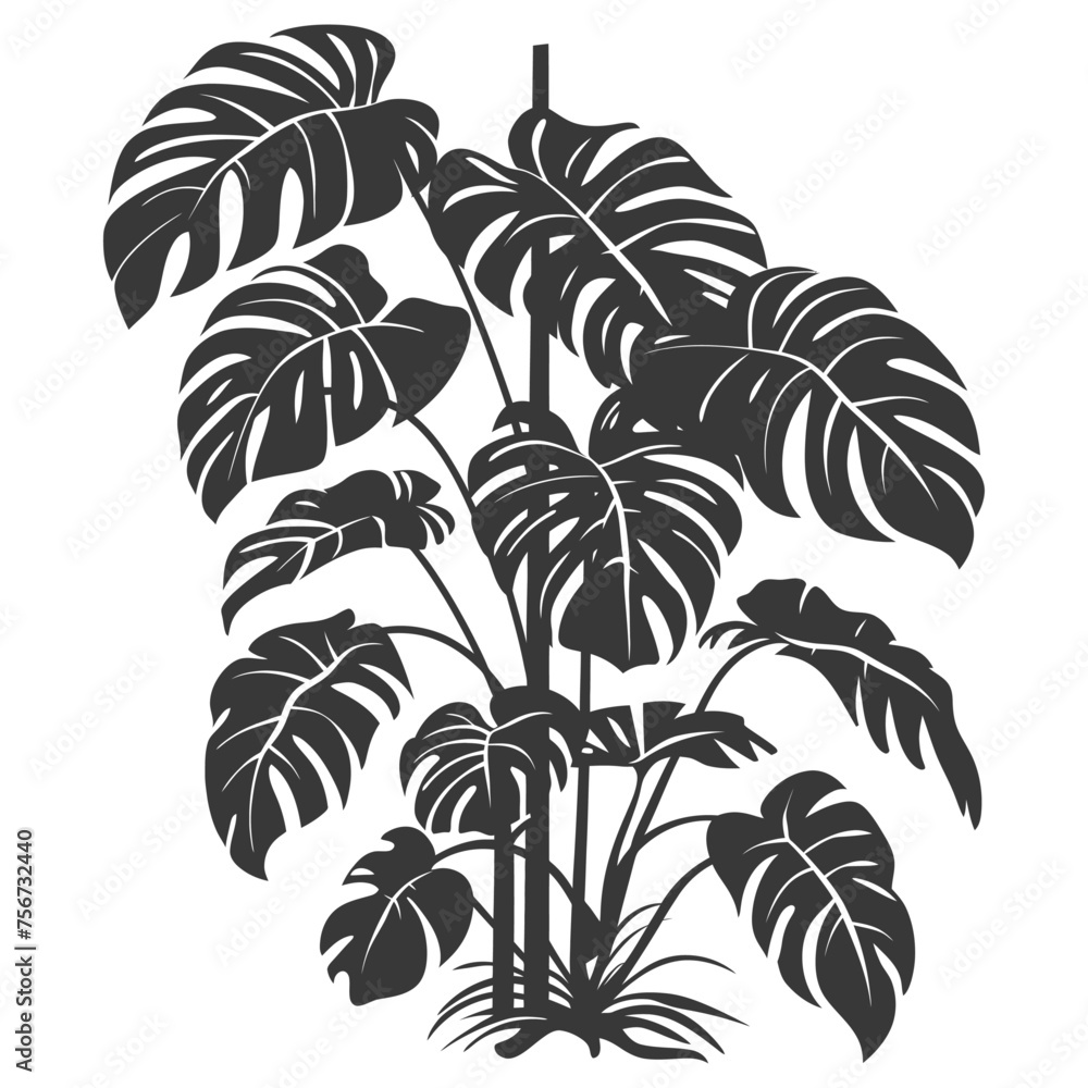 Silhouette monstera plant in the ground black color only 