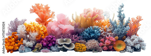 Panoramic view of vibrant colorful coral reef biodiversity on transparent background - stock png. © Volodymyr