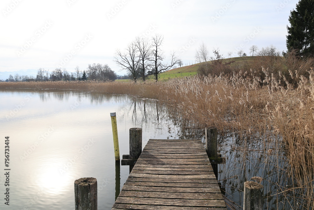 Fototapeta premium Holzsteg am Pfäffikersee in der Schweiz 