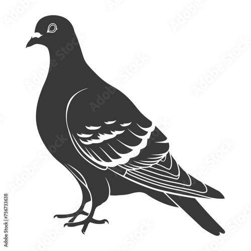 Silhouette pigeon bird animal black color only full body