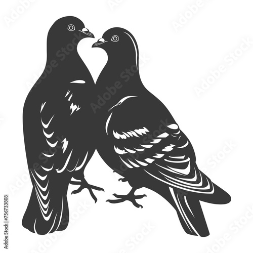 Silhouette pigeon bird animal couple pigeon black color only