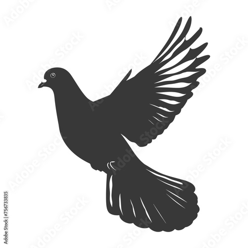 Silhouette pigeon bird animal fly black color only