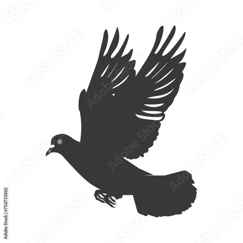Silhouette pigeon bird animal fly black color only