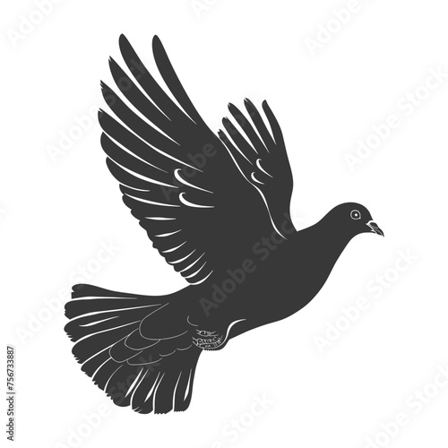 Silhouette pigeon bird animal fly black color only