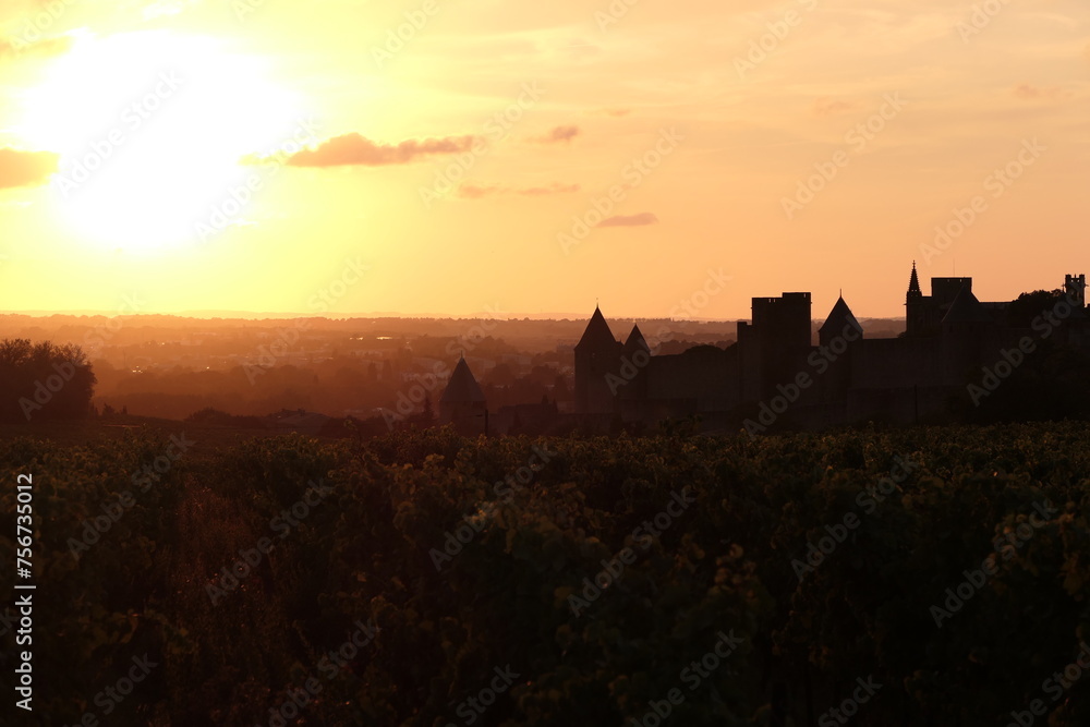 Sunset view of the fortified city of Carcassonne, from the vineyards. Medieval architectural complex restored by Viollet-le-Duc. World Heritage Site by UNESCO. Aude. Occitania. France