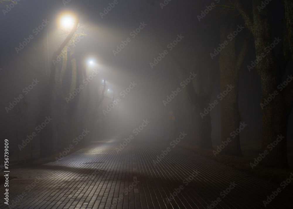 Beautiful landscape with fog, paved road, trees and lamps Beautiful landscape with fog, paved road, trees and lamps