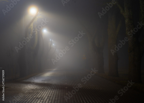 Beautiful landscape with fog  paved road  trees and lamps