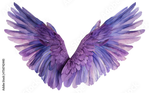Graceful violet feathered wings spread in flight, cut out - stock png.
