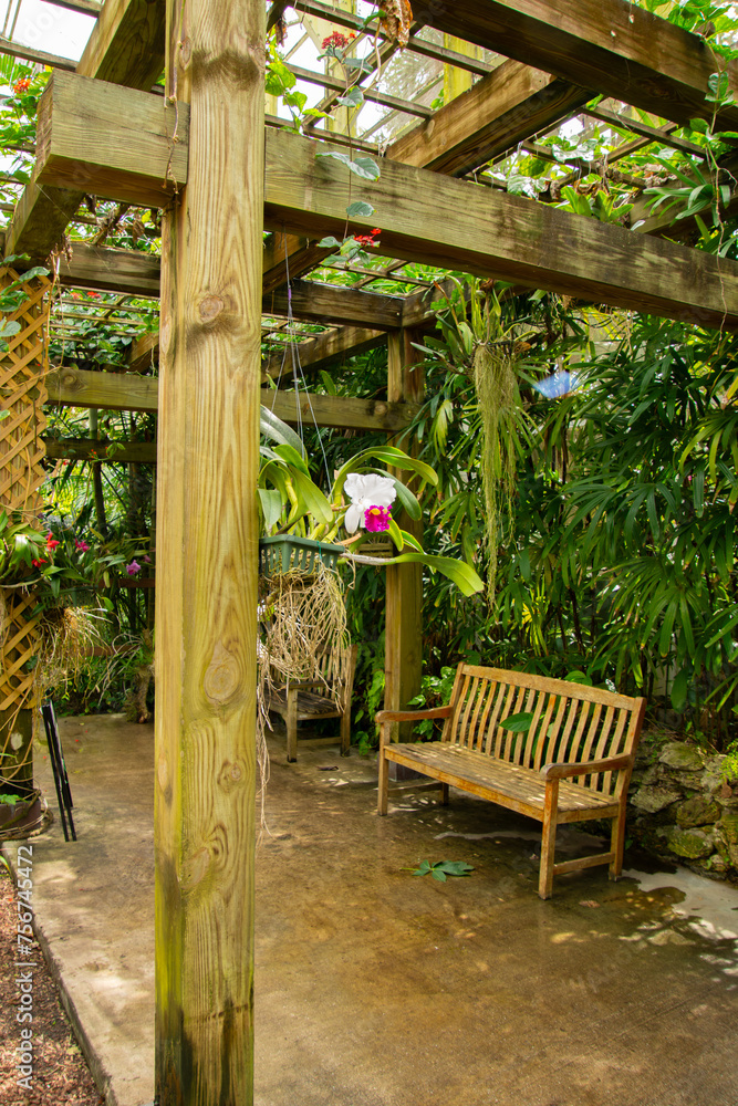 Lush vegetation in a pretty tropical garden in Florida in the United States Lush vegetation in a pretty tropical garden in Florida in the United States