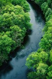 A scenic view of a river flowing through a vibrant green forest. Perfect for nature and travel concepts