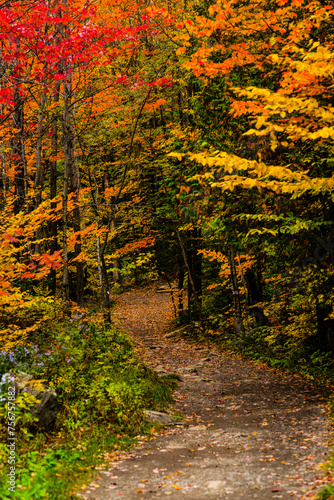 Mont Ham, Canada - September 25 2020: Autumn Forest in the Mont Ham in Quebec Canada