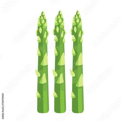 Fresh green asparagus vegetable isolated on white background. Cartoon style vector illustration.