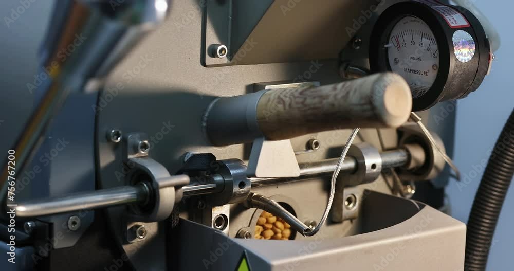 Operator of natural coffee roasting oven checks roast of variety coffee beans