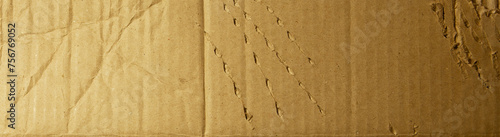 Torn, damaged cardboard or cardboard boxes, leaving claw marks. 