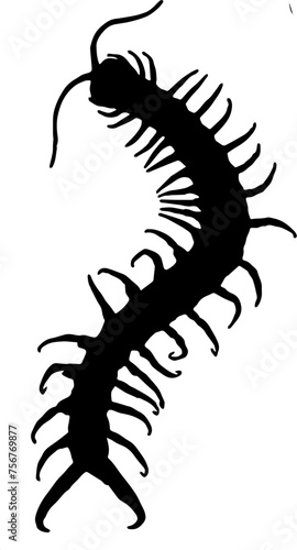 Obraz na plátne silhouette of a centipede