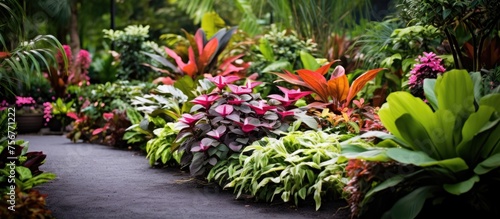 Enhance Your Garden's Beauty with Ornamental Plants