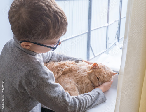 A child, a boy plays with his favorite fluffy red cat by the window. A child strokes a cat. Attachment between children and pets. The funny life of cats at home