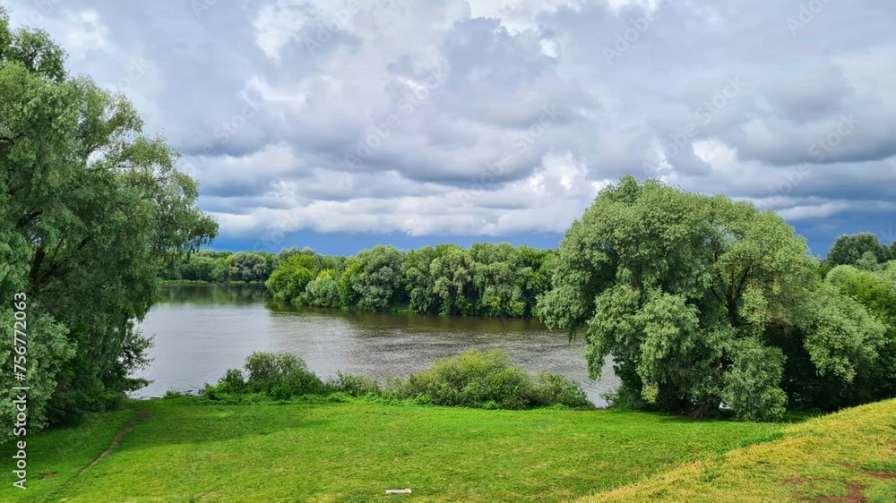 River with banks overgrown with green grass and dense bushes against background of gray sky