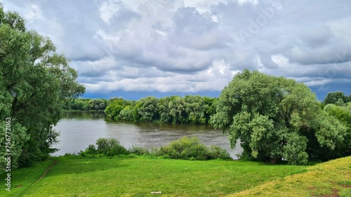 River with banks overgrown with green grass and dense bushes against background of gray sky