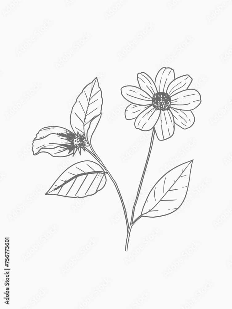 Single flower vector line art Single flower vector line art