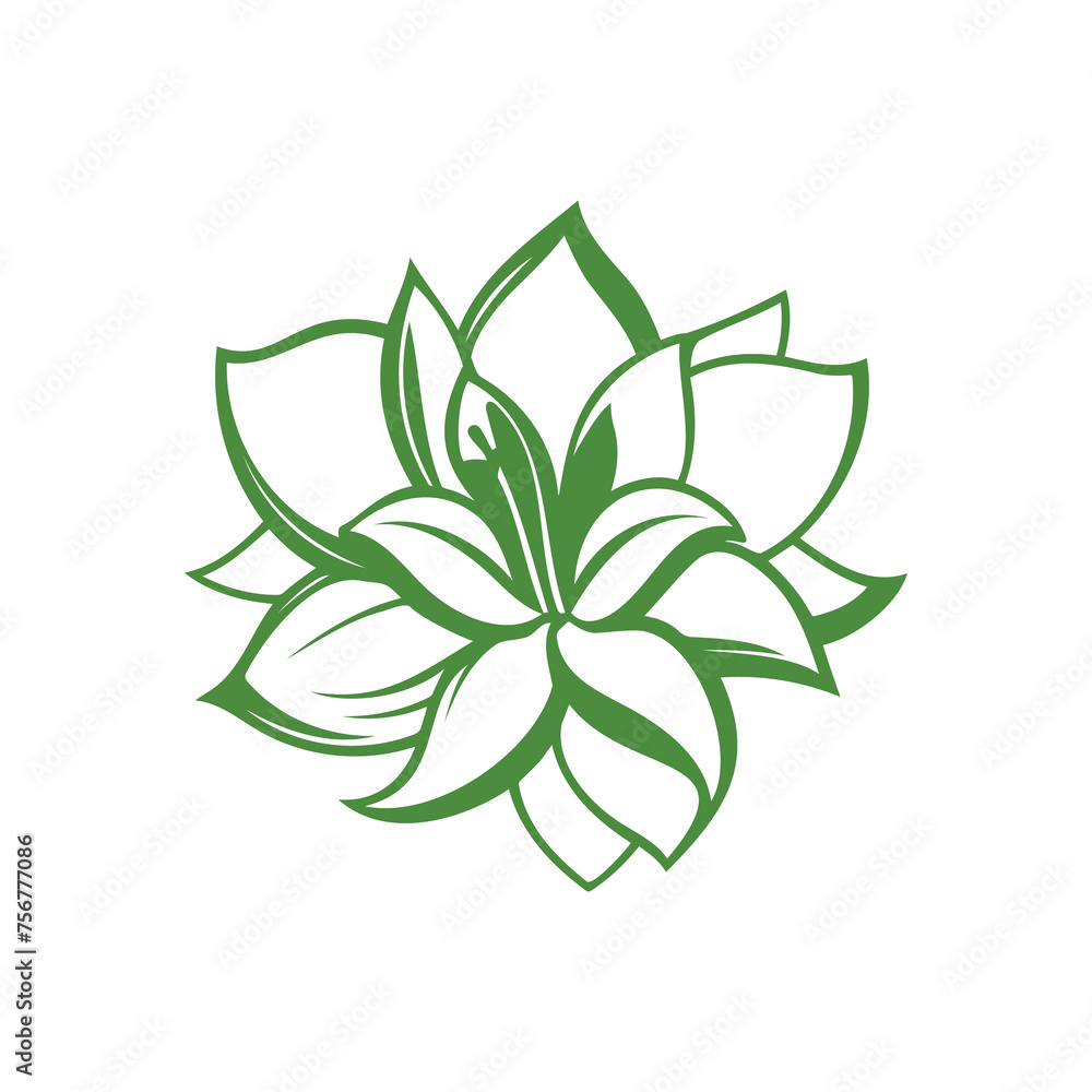 Illustration of a Green Plumeria Illustration of a Green Plumeria