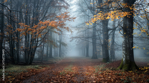 Misty Morning  Photograph the serene beauty of a forest in the early morning mist  with trees shrouded in fog and dewdrops glistening on leaves  creating an ethereal and tranquil atmosphere. 