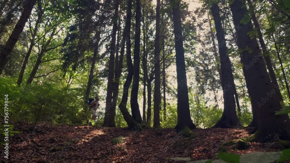 Tourist with backpack Hiking on Adventure Trip in Natural Landscape Woodland. Wide shot Adventure Inspiring travel with Hiking equipment. slow motion side view