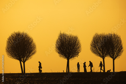 black silhouettes people and dogs against the colourful background of the setting sun with