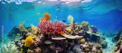 An underwater natural landscape filled with stony corals and colorful fish, creating a vibrant coral reef. A perfect leisure spot for marine biology enthusiasts © AkuAku