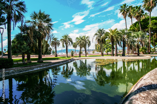 Awe Panorama of left part of Croisette (no people) luxury park with large fantastic palm trees and grass and flowerbeds © Marat Lala