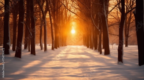 beautiful winter landscape, a path in a snow covered forest, tree branches with hoarfrost, sunset, bright sunlight and beautiful nature