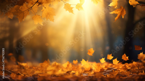 Autumn leaves in the forest illuminated by the soft glow of sunrise  with sun rays creating a mesmerizing bokeh background