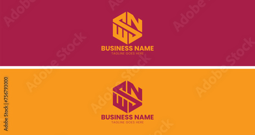 Creative ESN logo and WST Logo Design in Hexagon shape for a Modern Brand Identity photo