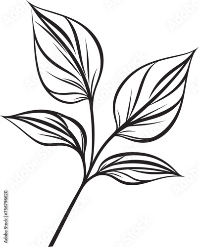 Tropical Opulence: Onekine Exotic Plant Leaves Icon Design Vibrant Botanical Beauty: Onekine Tropical Leaves Black Logo Vector © BABBAN