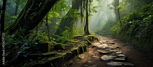 A winding path weaves through a dense forest with towering trees, lush greenery, and a carpet of grass, creating a tranquil natural landscape © AkuAku