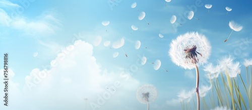 A dandelion flower is being carried by the wind in a blue sky with cumulus clouds, creating a beautiful natural landscape