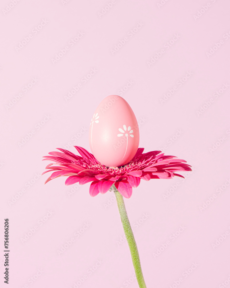 Pink Easter egg on natural daisy flower.  Minimal happy holiday surreal concept. Pastel pink background. Front view. Copy space. Greeting card.