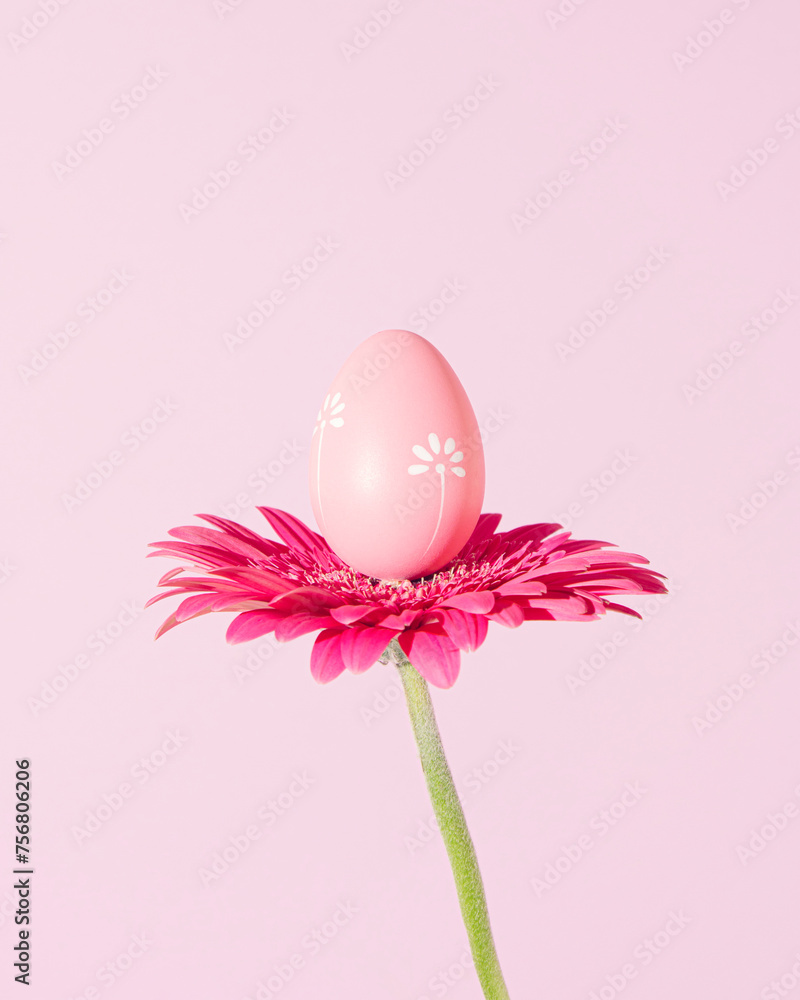 Pink Easter egg on natural daisy flower. Minimal happy holiday surreal concept. Pastel pink background. Front view. Copy space. Greeting card. Pink Easter egg on natural daisy flower. Minimal happy holiday surreal concept. Pastel pink background. Front view. Copy space. Greeting card.