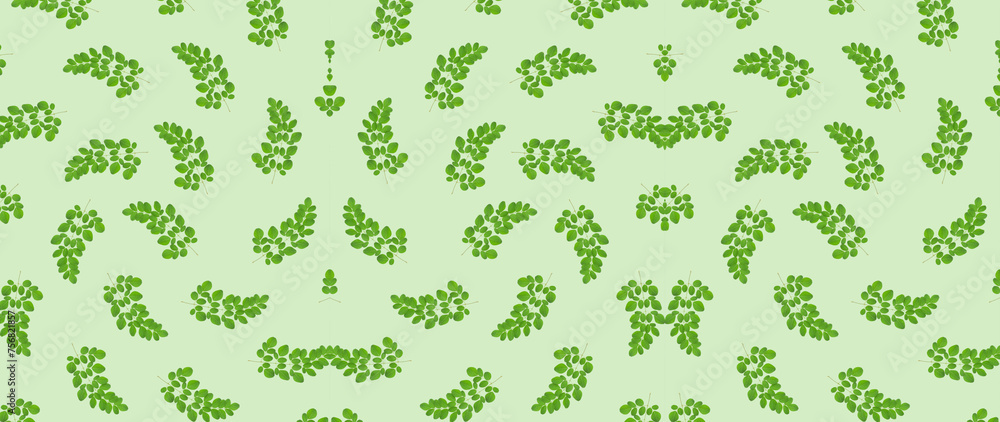Twigs and leaves of moringa oleifera. Medicinal plant from India. Super food. A plant popular in cosmetics, medicine and cooking. Spring background. Twigs and leaves of moringa oleifera. Medicinal plant from India. Super food. A plant popular in cosmetics, medicine and cooking. Spring background.