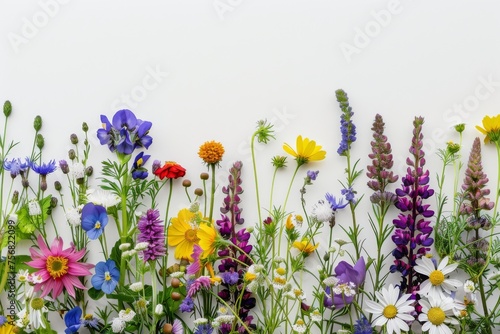 A diverse array of bright flowers arranged as a horizontal border on a white background