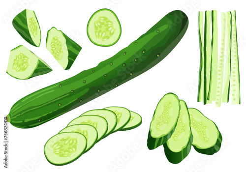 Japanese cucumber hand drawn vector illustration set, isolated cucumber, sliced, chopped, cut pieces