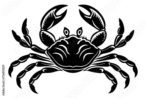 Illustration of a crab