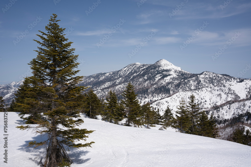 冬の岩菅山