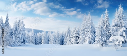 A picturesque snowy forest with trees blanketed in snow under a clear blue sky on a freezing sunny day, creating a magical natural landscape
