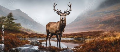 A deer is grazing next to a serene river in the mountainous landscape, under the vast sky. Its elegant horns add beauty to the natural scenery