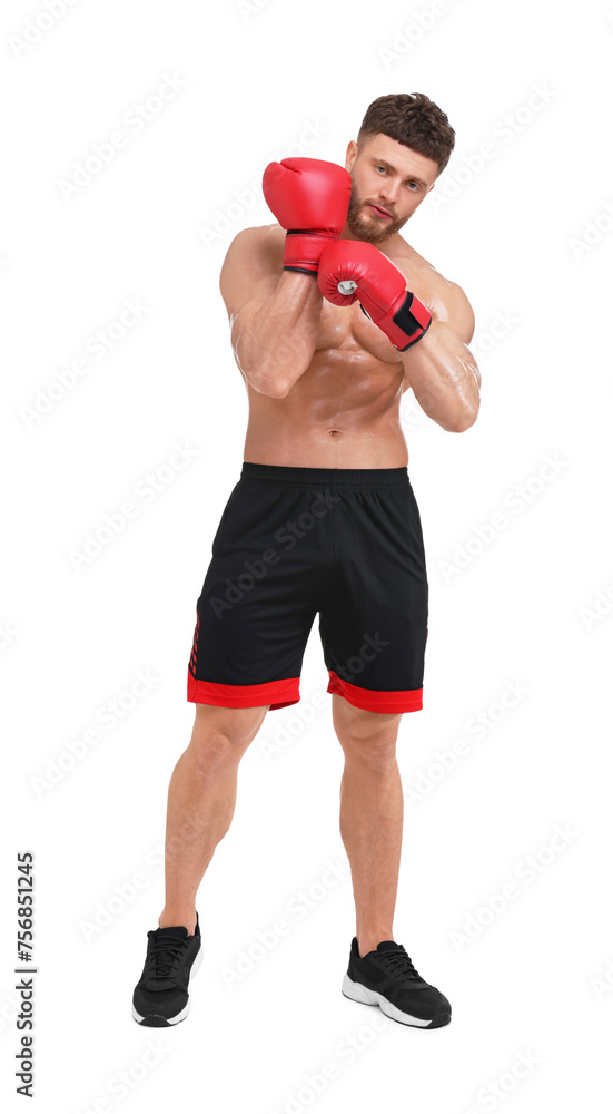 Man putting on boxing gloves against white background Man putting on boxing gloves against white background